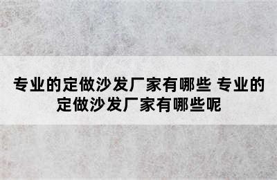 专业的定做沙发厂家有哪些 专业的定做沙发厂家有哪些呢